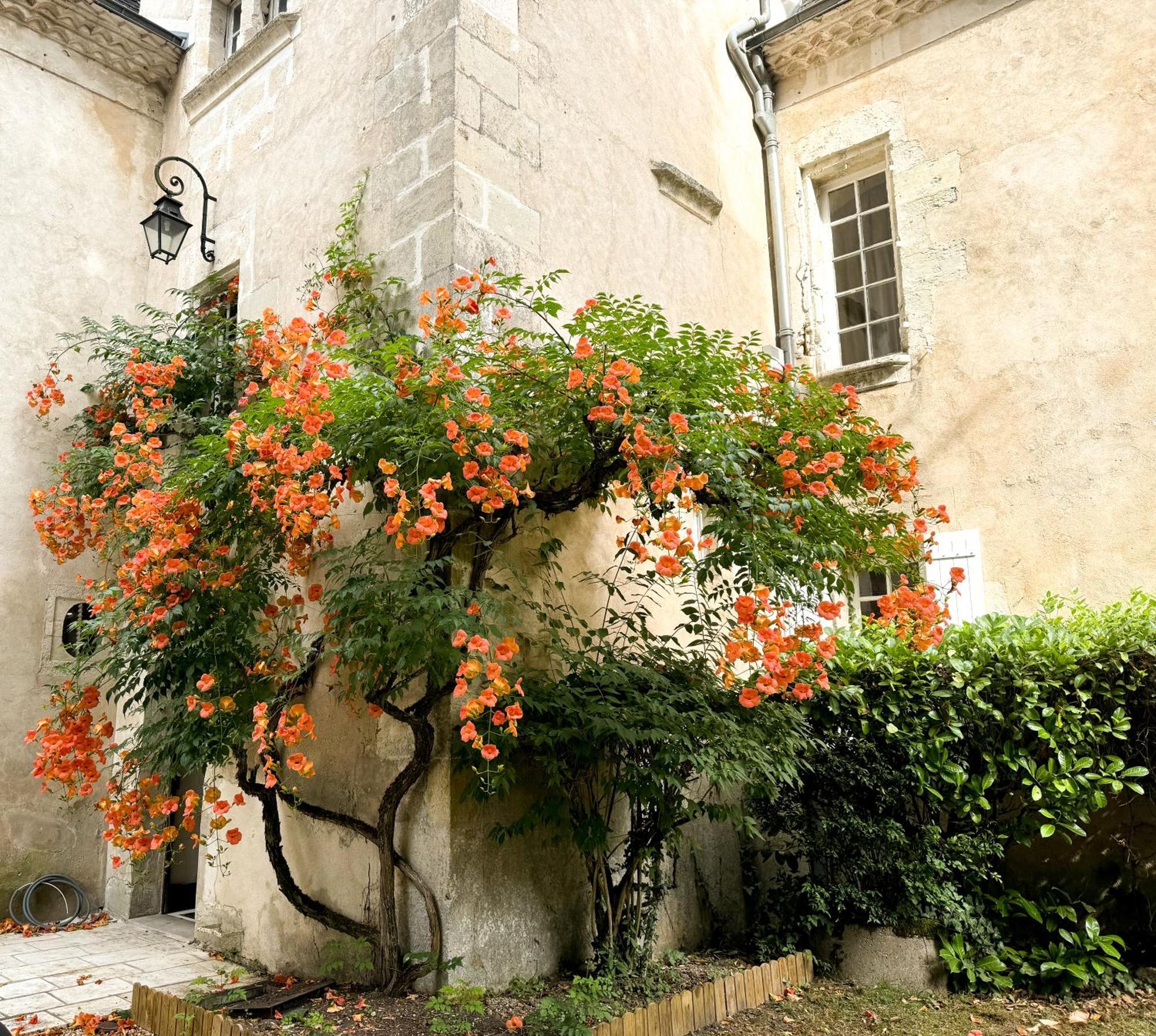 Domaine Labattut Bed & Breakfast Saint-Astier  Exterior photo